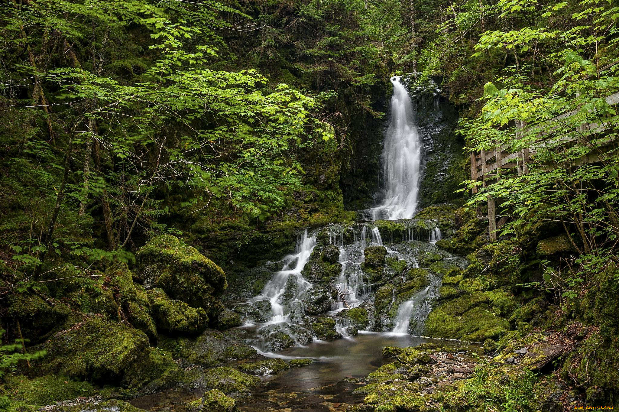 , , , , , canada, fundy, national, park